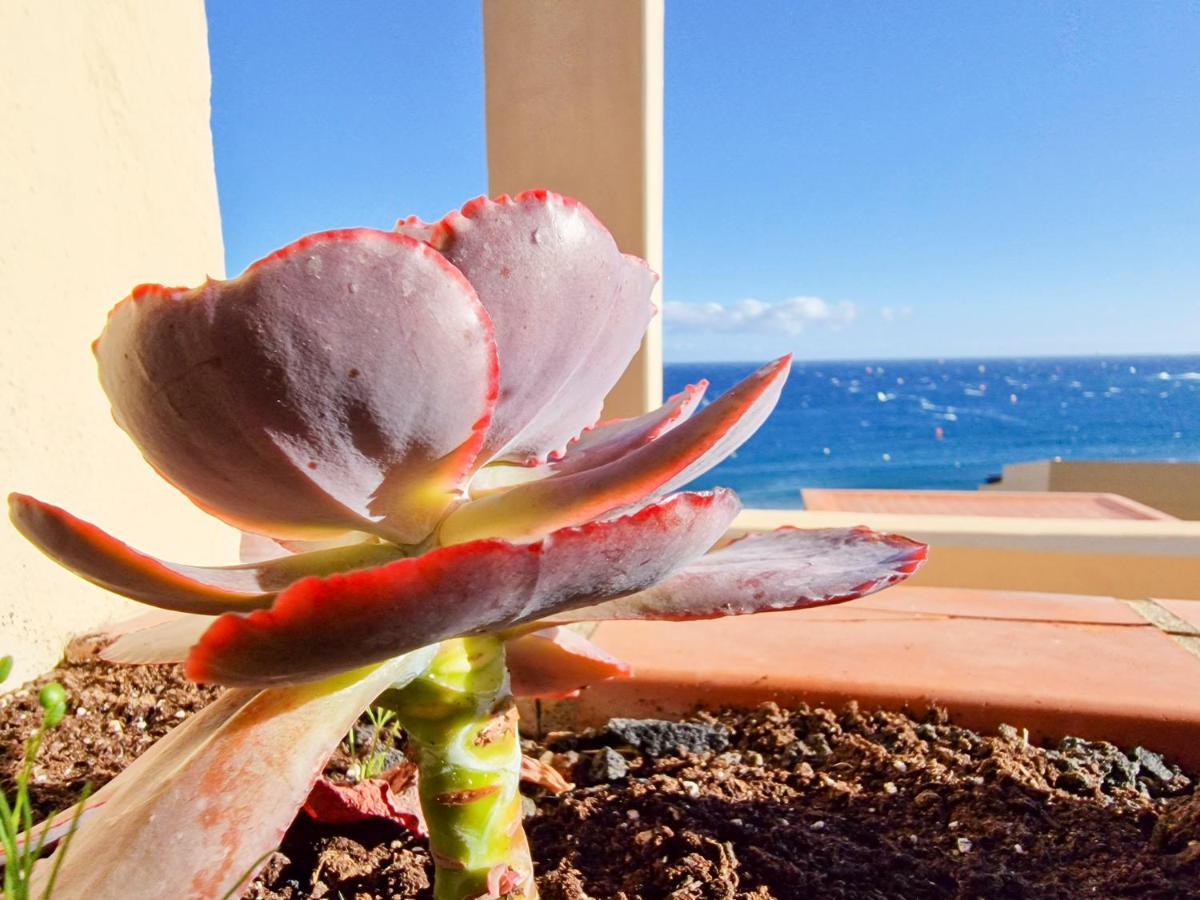 Medano4You The Ocean Terrace Penthouse El Médano Exterior photo